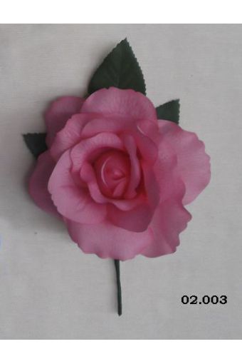 Rosa 02.003